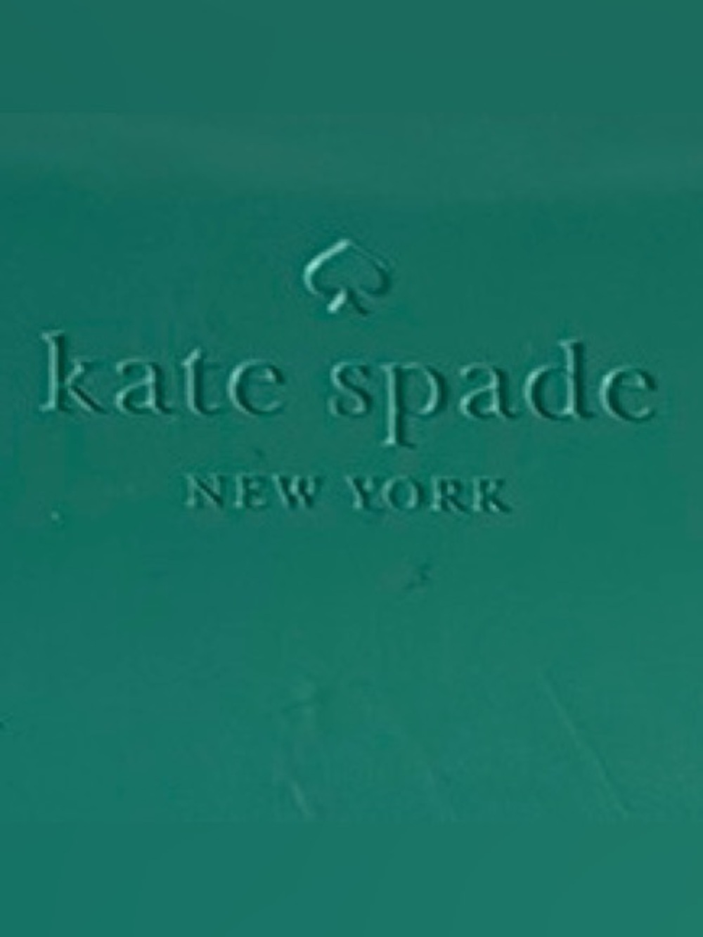 kate spade Turquoise sunglasses case